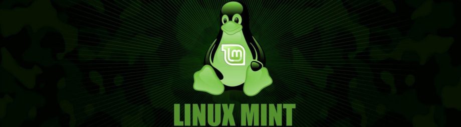 Asenna Linux! Suoraviivainen asennusopas: LINUX MINT 21.3